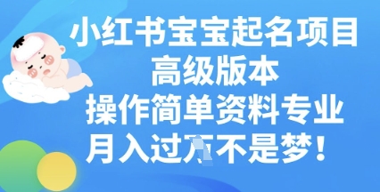 小红书宝宝起名项目高级版本，操作简单，资料专业，月入过W-极客副业站