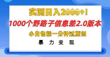 2025抖音1000个野路子信息差最新玩法，一分钟过原创，暴力变现月入几k-极客副业站