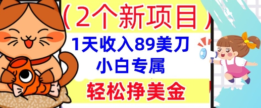 2个新项目,轻松挣美金, 1天收入89美刀,小白专属,干货分享-极客副业站
