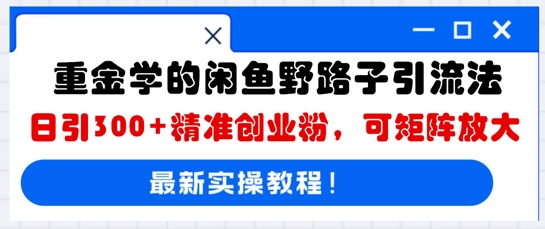 重金学的闲鱼野路子引流法,日引300+精准创业粉,可矩阵放大-极客副业站