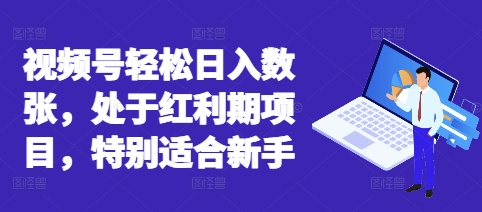 视频号轻松日入数张,处于红利期项目,特别适合新手-极客副业站