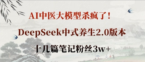 AI中医大模型杀疯了！DeepSeek中式养生2.0版本，十几篇笔记粉丝3w+-极客副业站