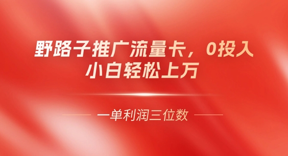 0门槛推广流量卡，一单收益上百，0投入，小白月入过W-极客副业站