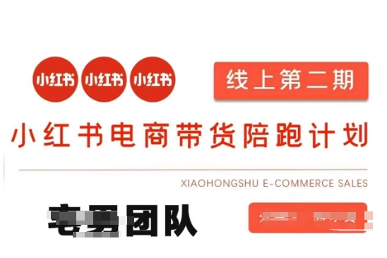 小红书电商带货课2期,月利润20个的小红书电商的有货源,无货源,虚拟产品,付费投流等整套玩法-极客副业站